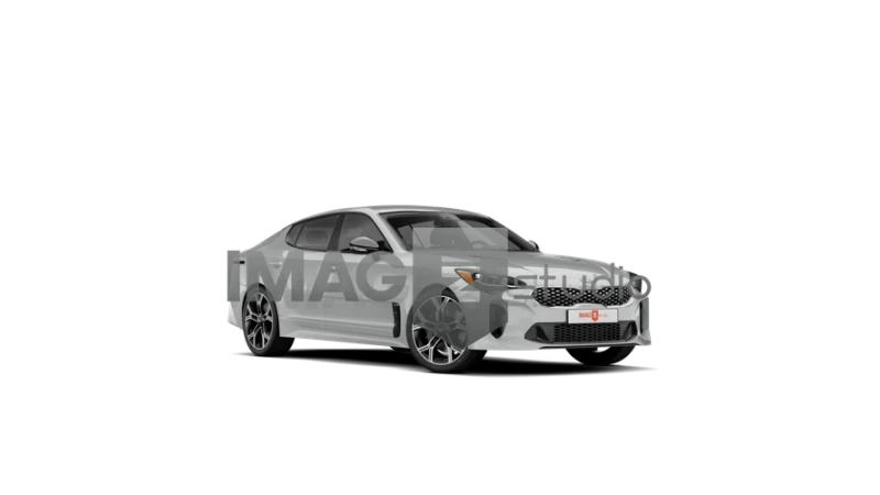 STINGER
